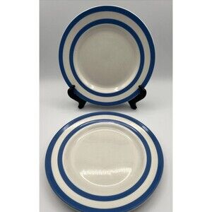Vintage T.G. Green Cornishware 9" Plates Set of 2 Judith Onions 1960s Bullseye